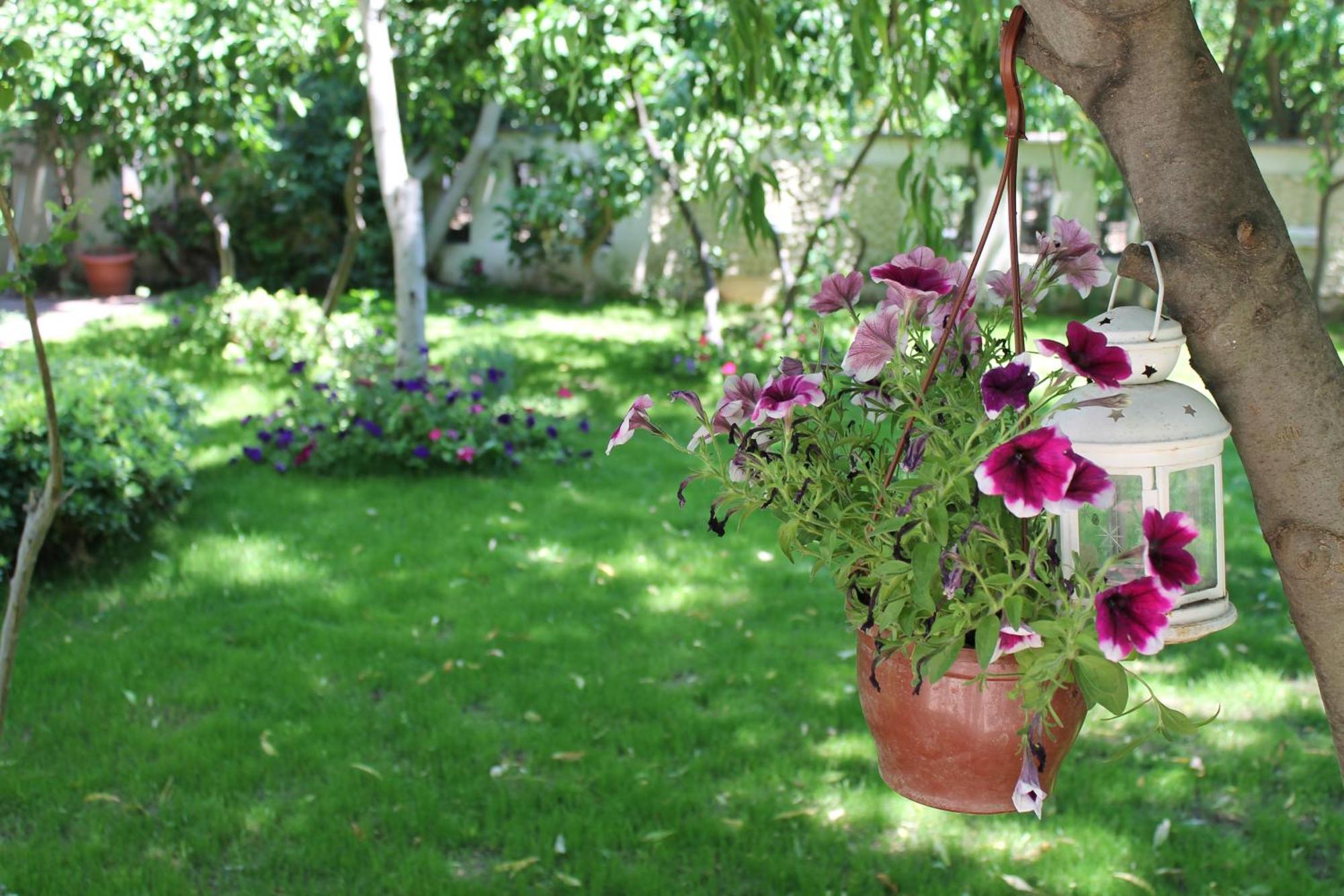 Bella Garden Hotel Αλικαρνασσός Εξωτερικό φωτογραφία