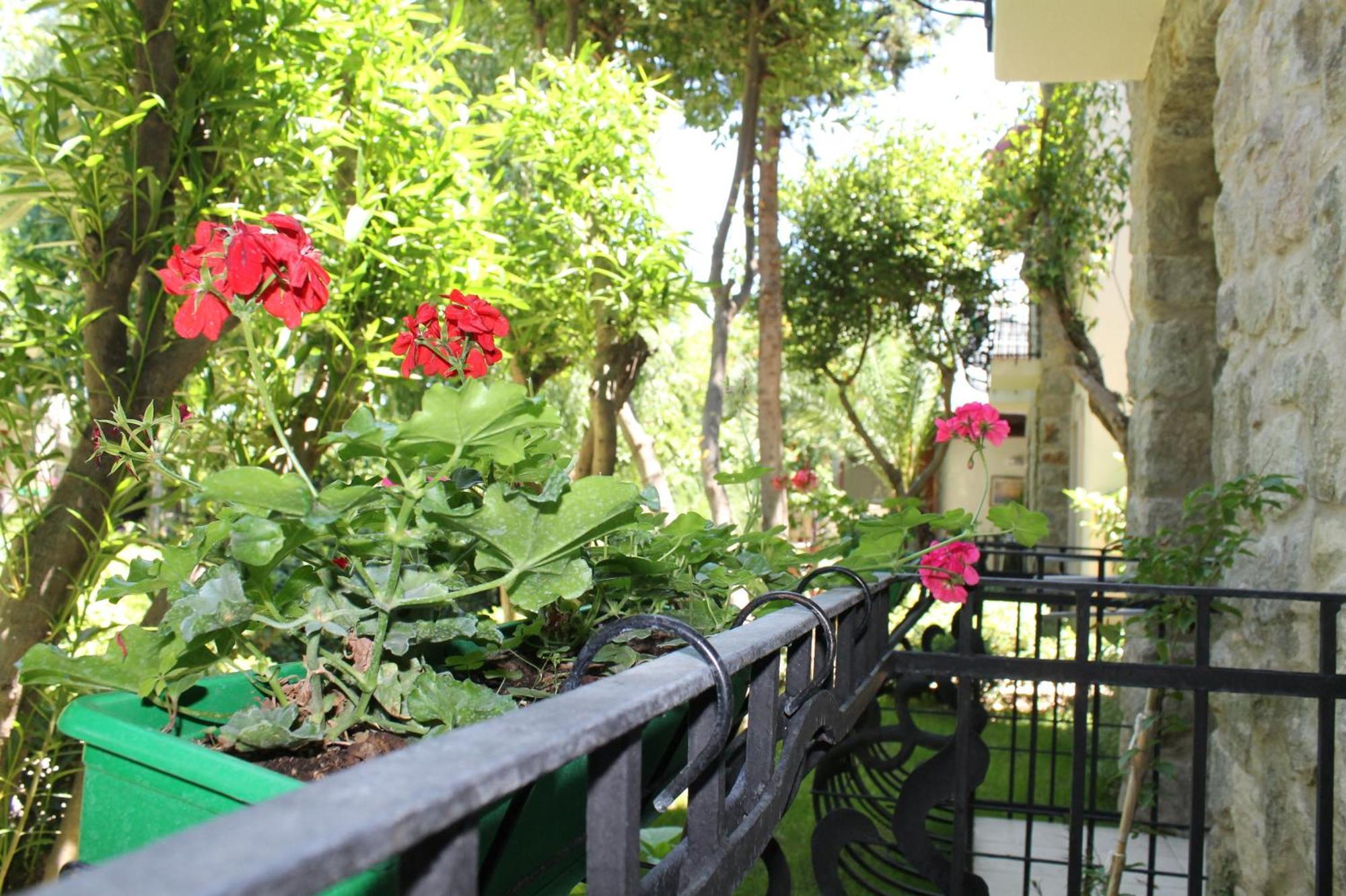 Bella Garden Hotel Αλικαρνασσός Εξωτερικό φωτογραφία