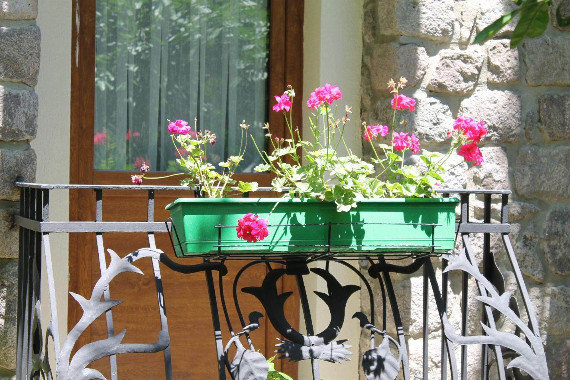 Bella Garden Hotel Αλικαρνασσός Εξωτερικό φωτογραφία